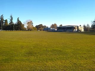 Alpine Energy Stadium